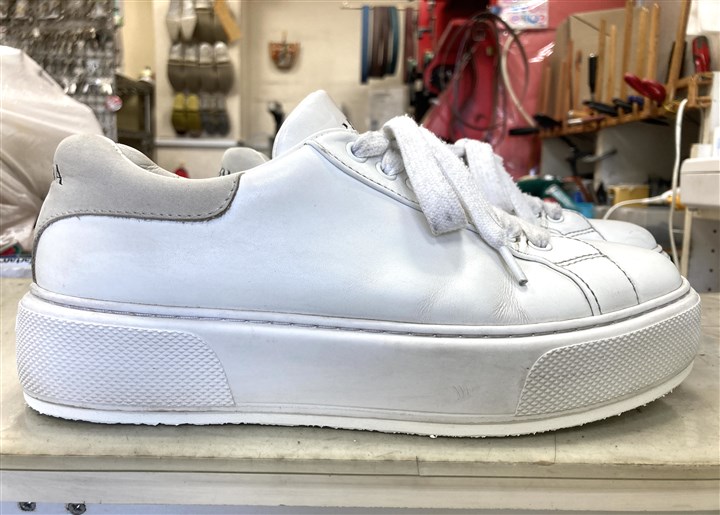 �v���_�̃X�j�[�J�[�̃\�[���⋭�S���̓\�ւ��C���A5