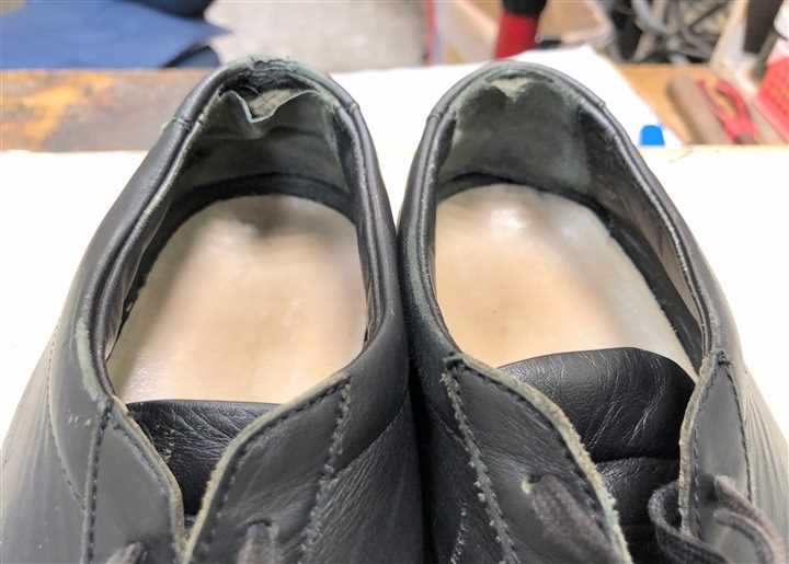 �u�J�J�g�̃p���N�C������v�X�j�[�J�[�i�r�t�H�[�j